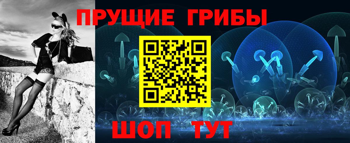 Галлюциногенные грибы Psilocybine cubensis Кушва